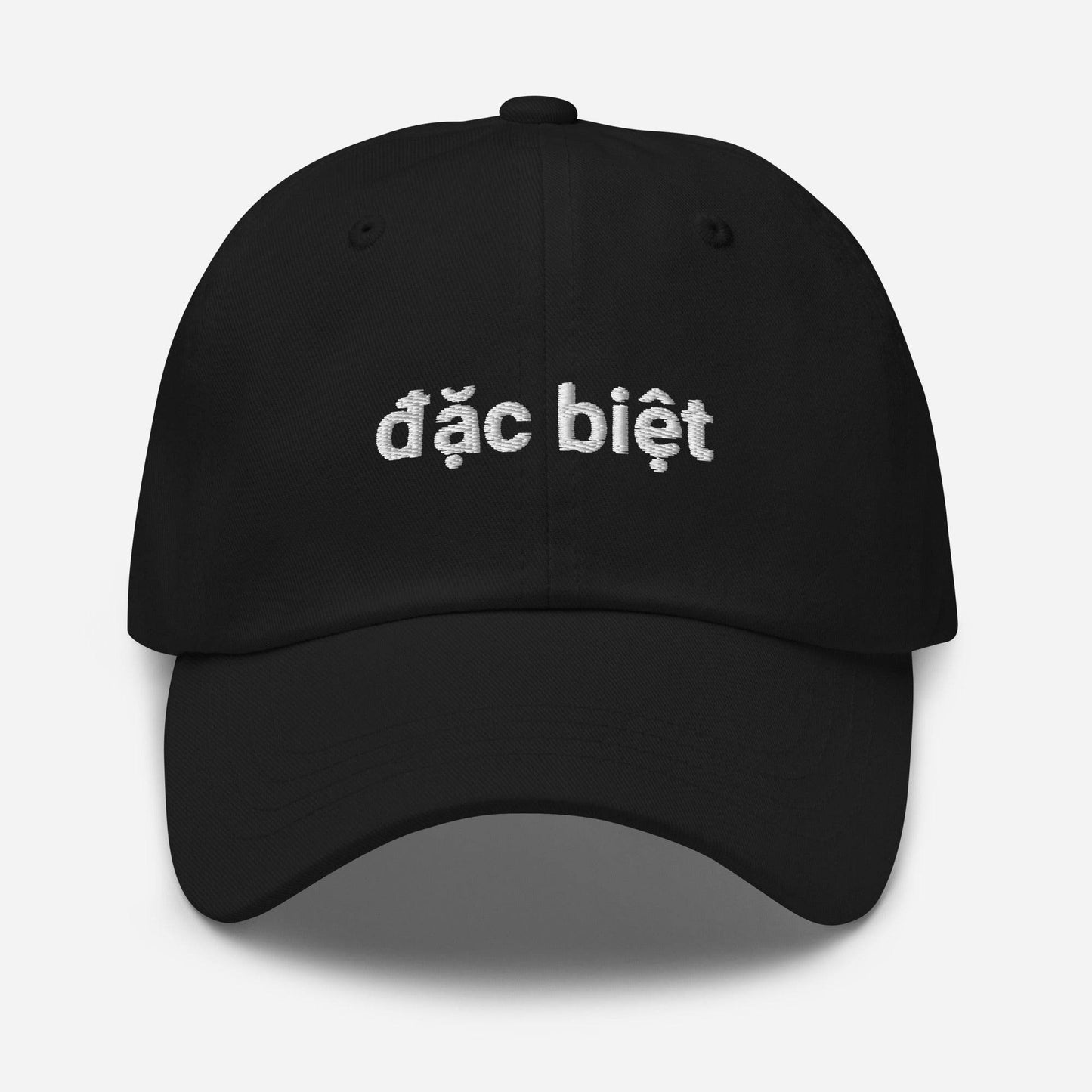 Dặc Biệt Embroidered Dad Hat - Kimposed