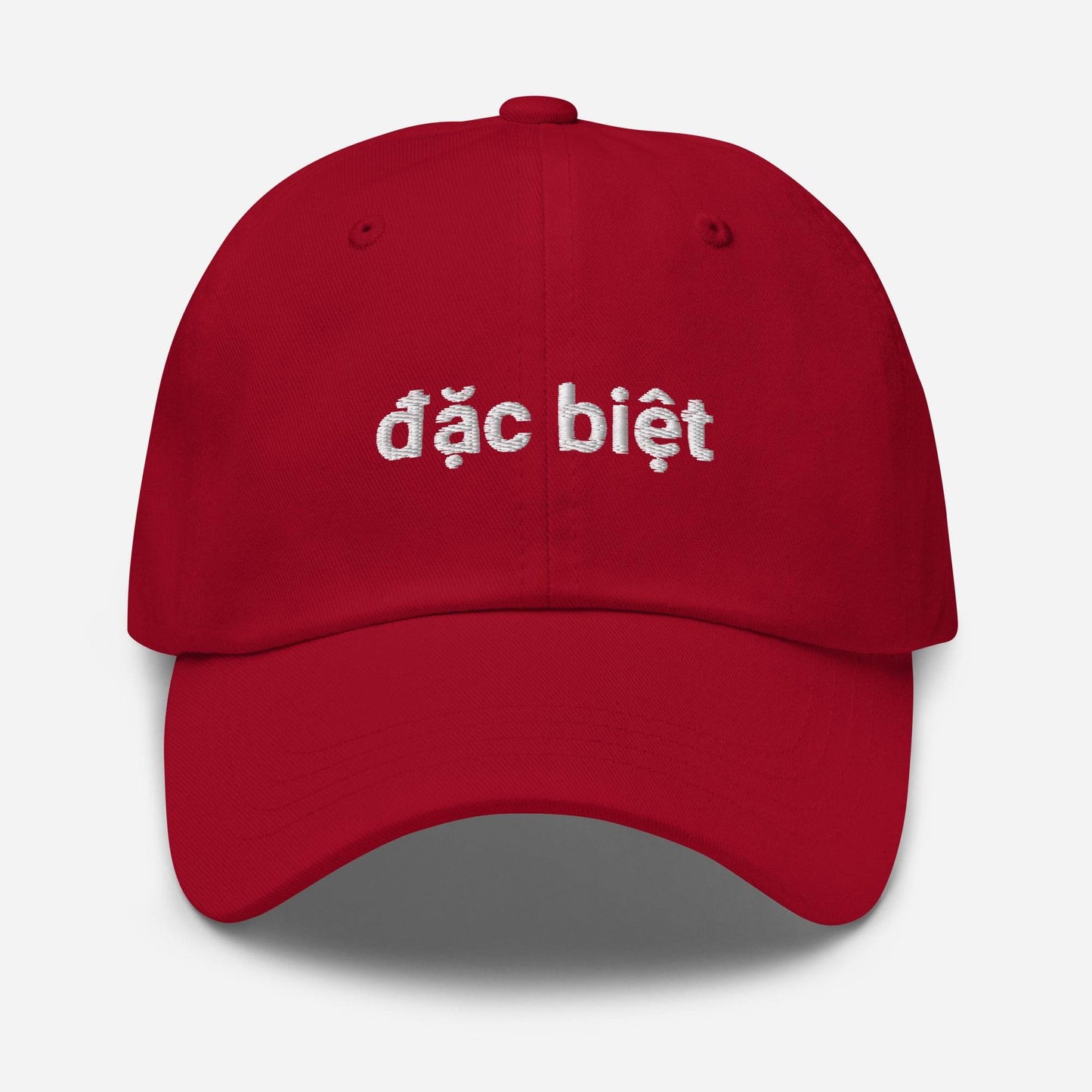 Dặc Biệt Embroidered Dad Hat - Kimposed