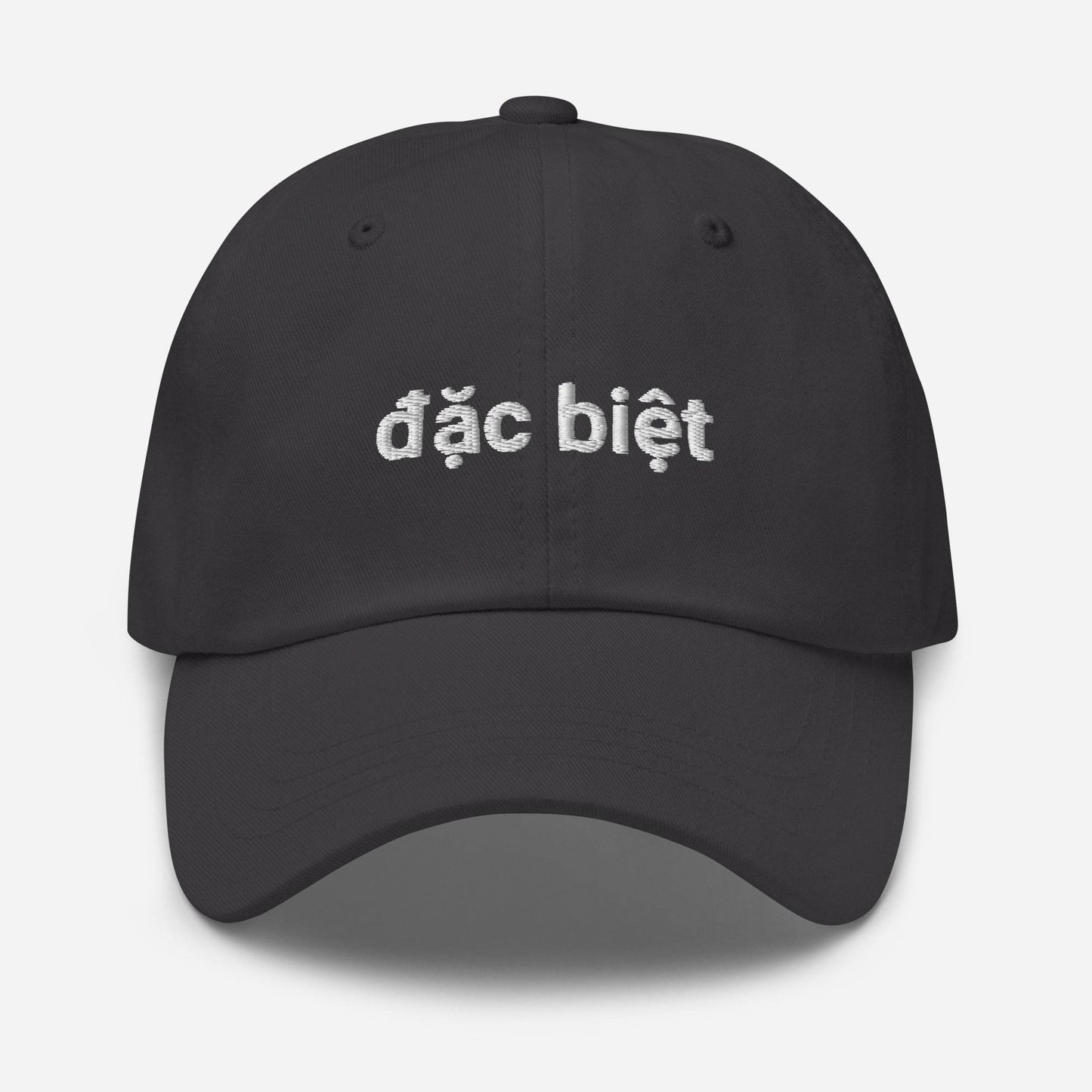Dặc Biệt Embroidered Dad Hat - Kimposed