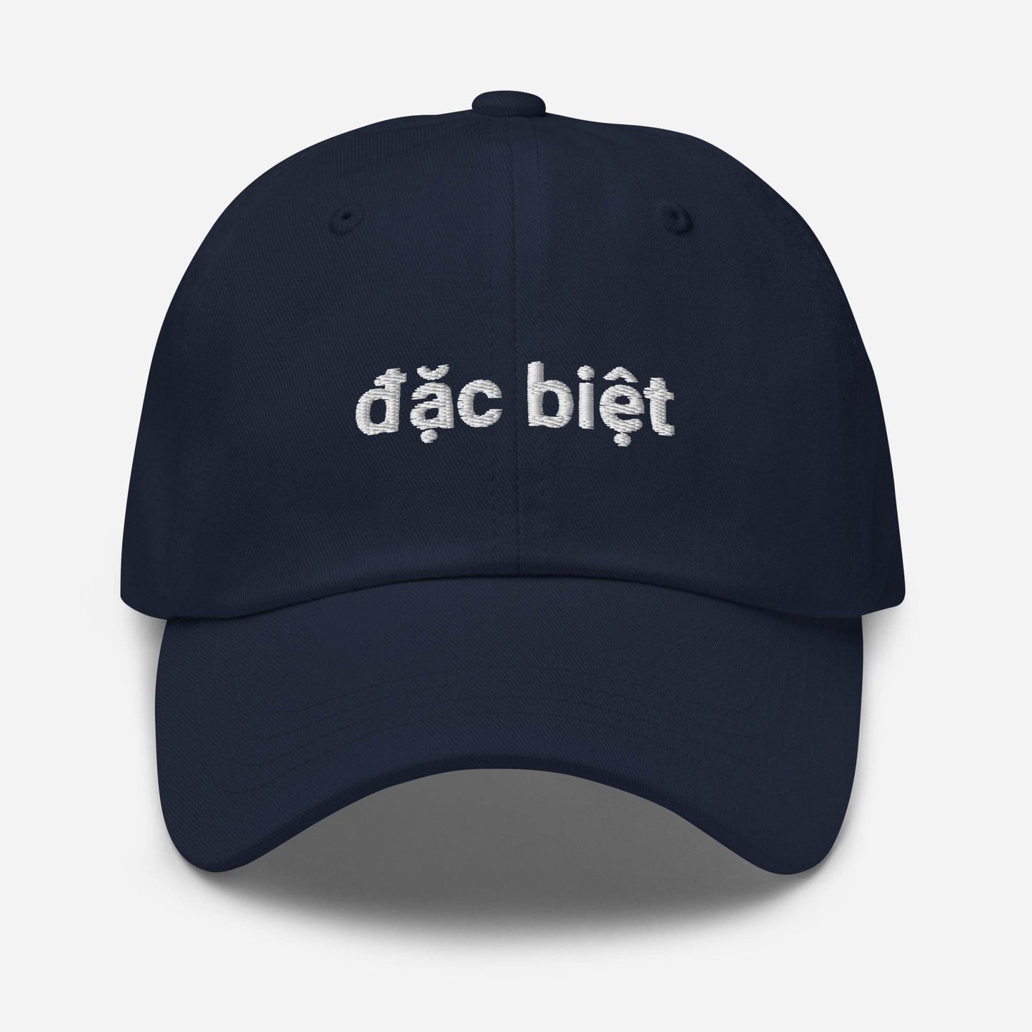 Dặc Biệt Embroidered Dad Hat - Kimposed