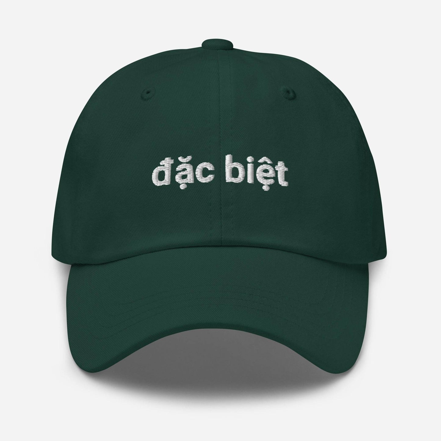 Dặc Biệt Embroidered Dad Hat - Kimposed