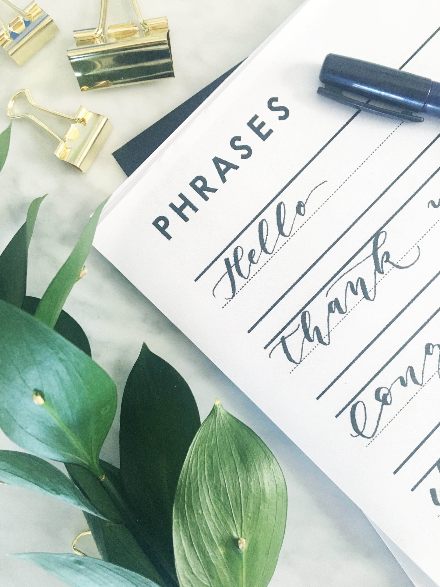 Modern Brush Calligraphy Workbook