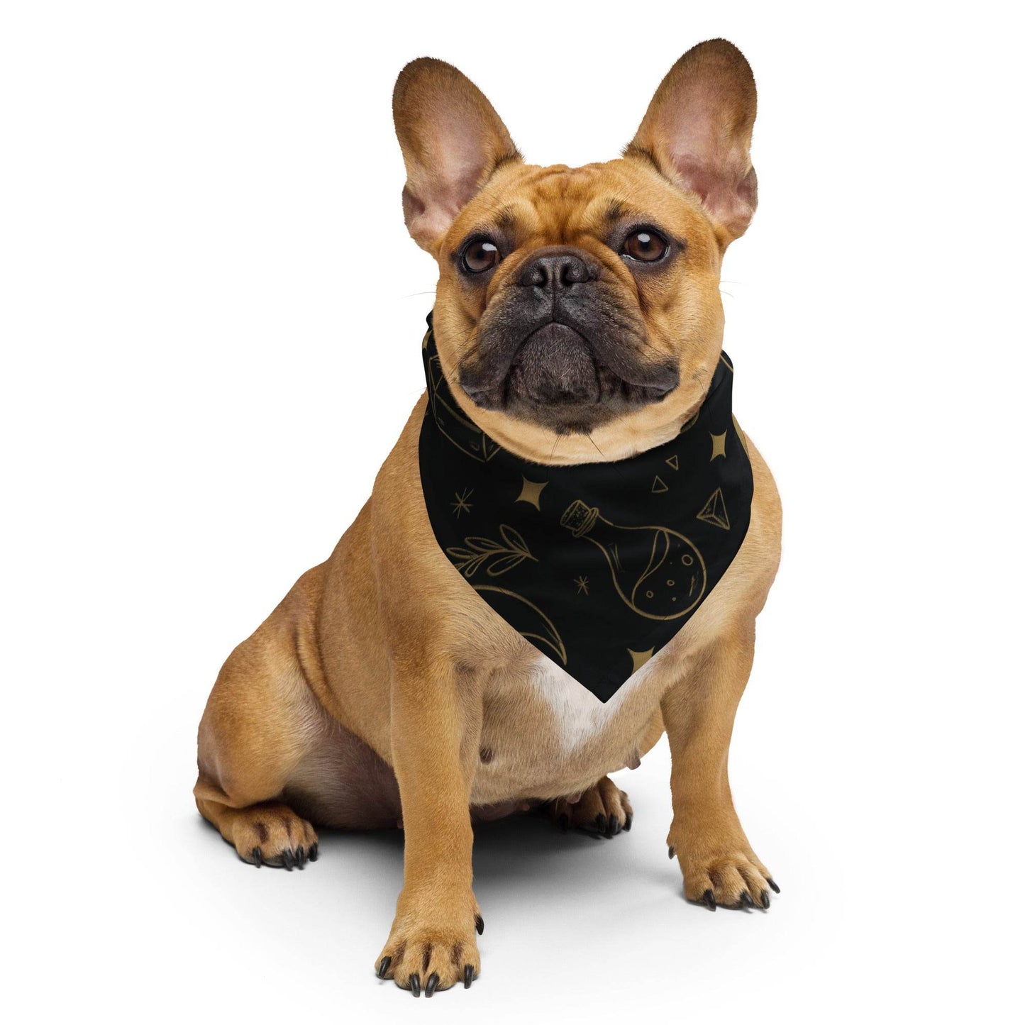 Black Witchy Things Bandana - Kimposed
