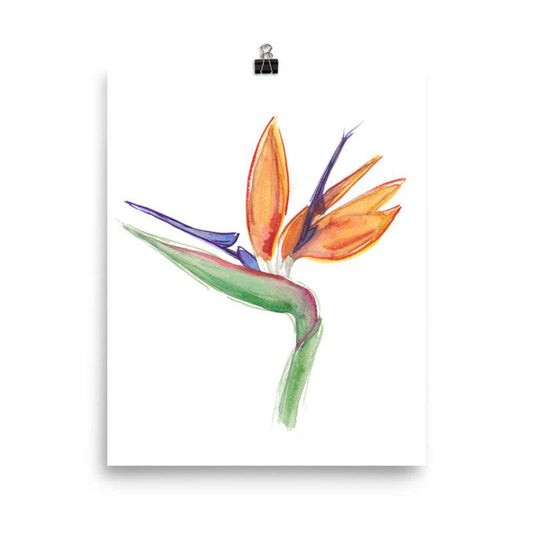 Bird of Paradise Flower Print - Kimposed