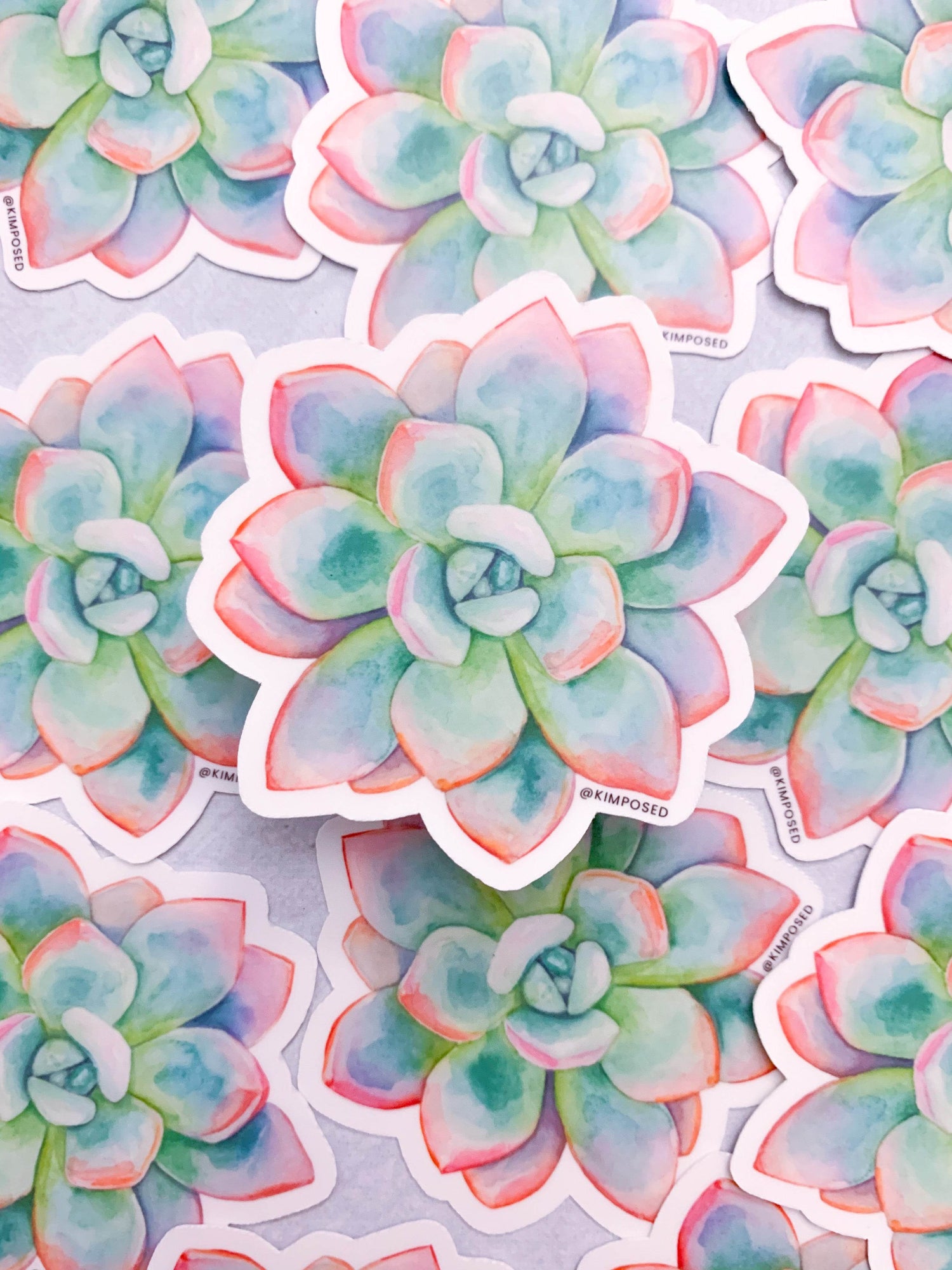 Pastel Succulent Sticker - Kimposed