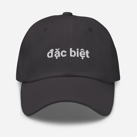 Embroidered đặc biệt Dad Hat | Multiple Colors Available!