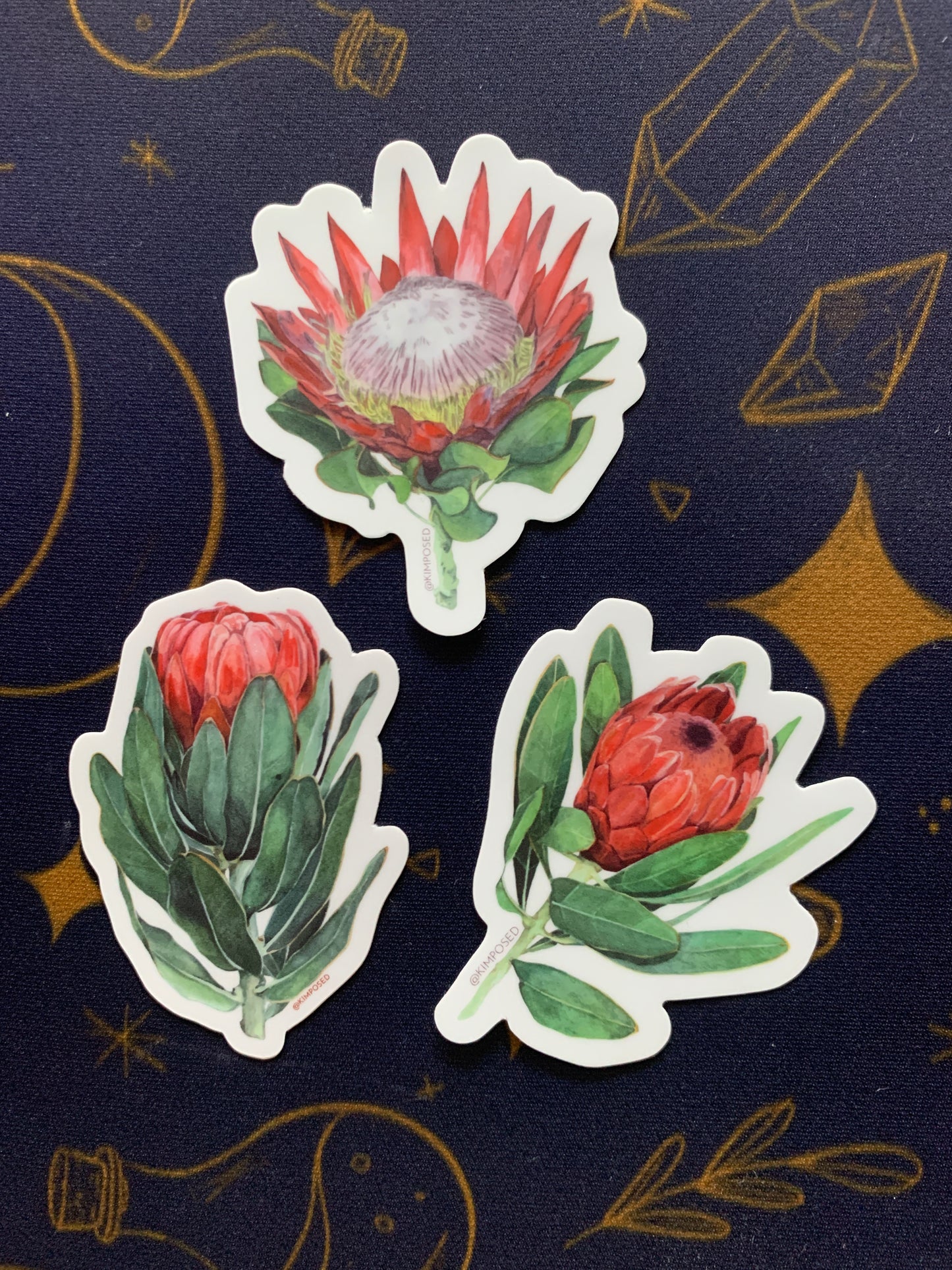 Protea Flower Series III Sticker