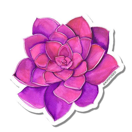 Pink Succulent Sticker
