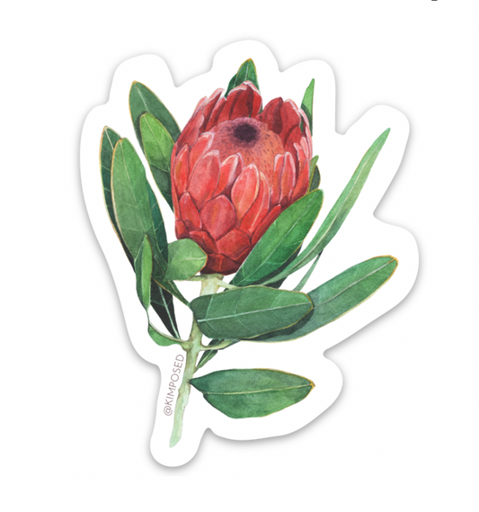Protea Flower Series II Sticker