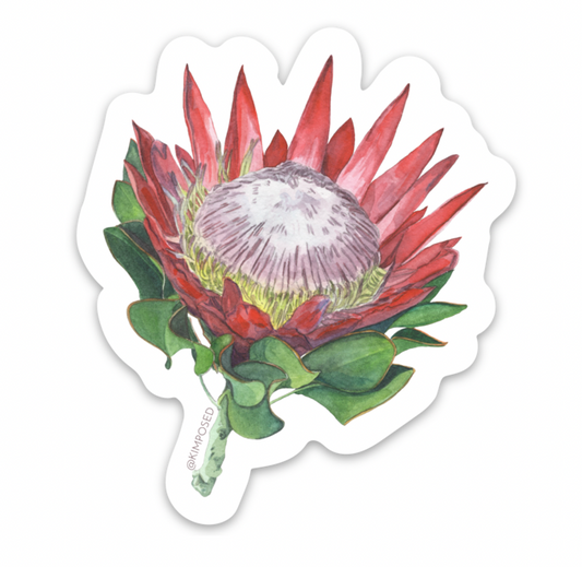 Protea Flower Series III Sticker