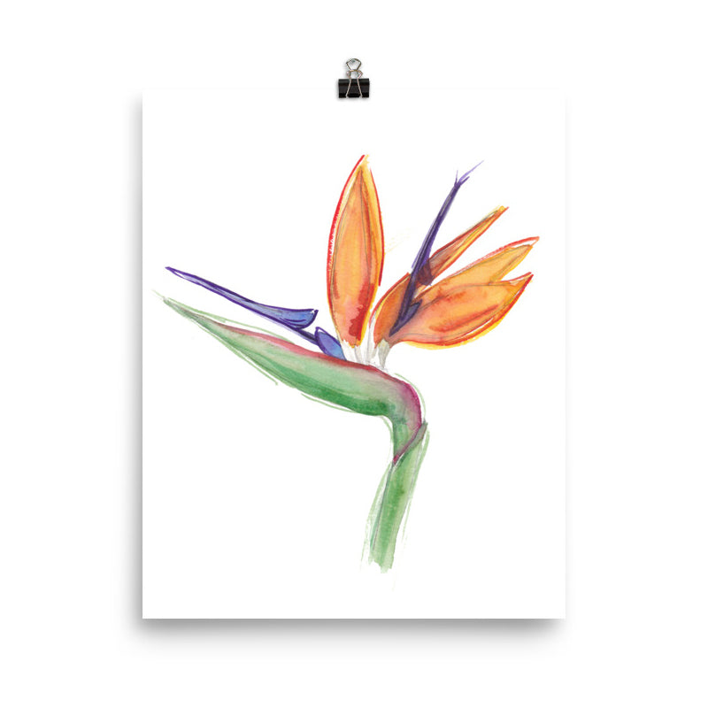 Bird of Paradise Flower Print